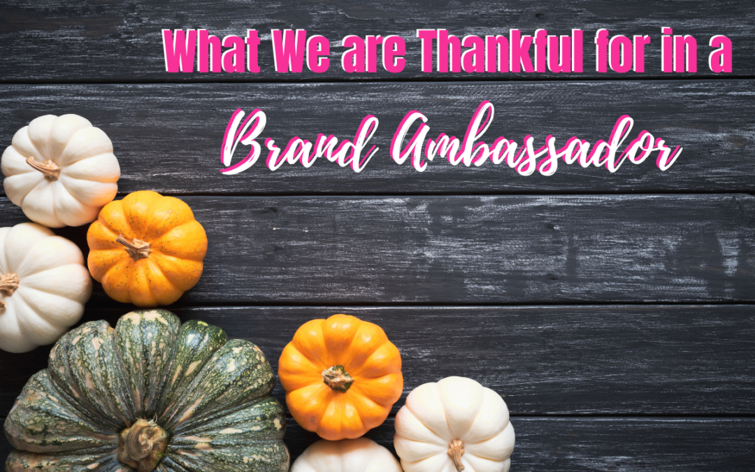 What We are Thankful for in a Brand Ambassador