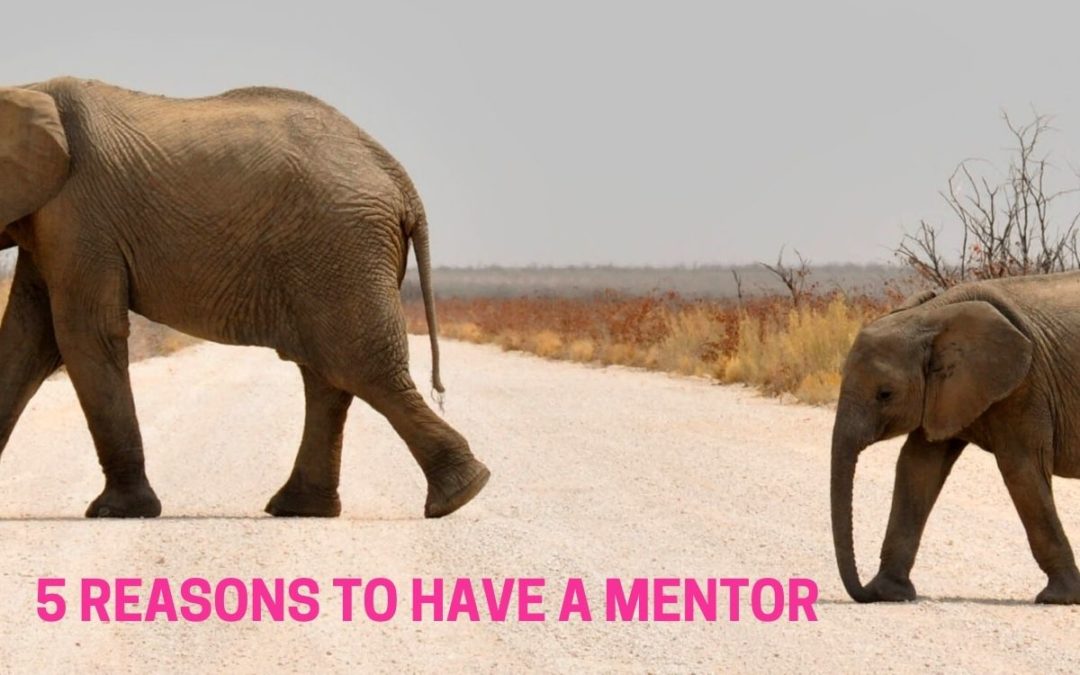 5 Reasons to Have a Mentor