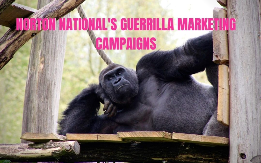Norton National’s Guerrilla Marketing Campaigns