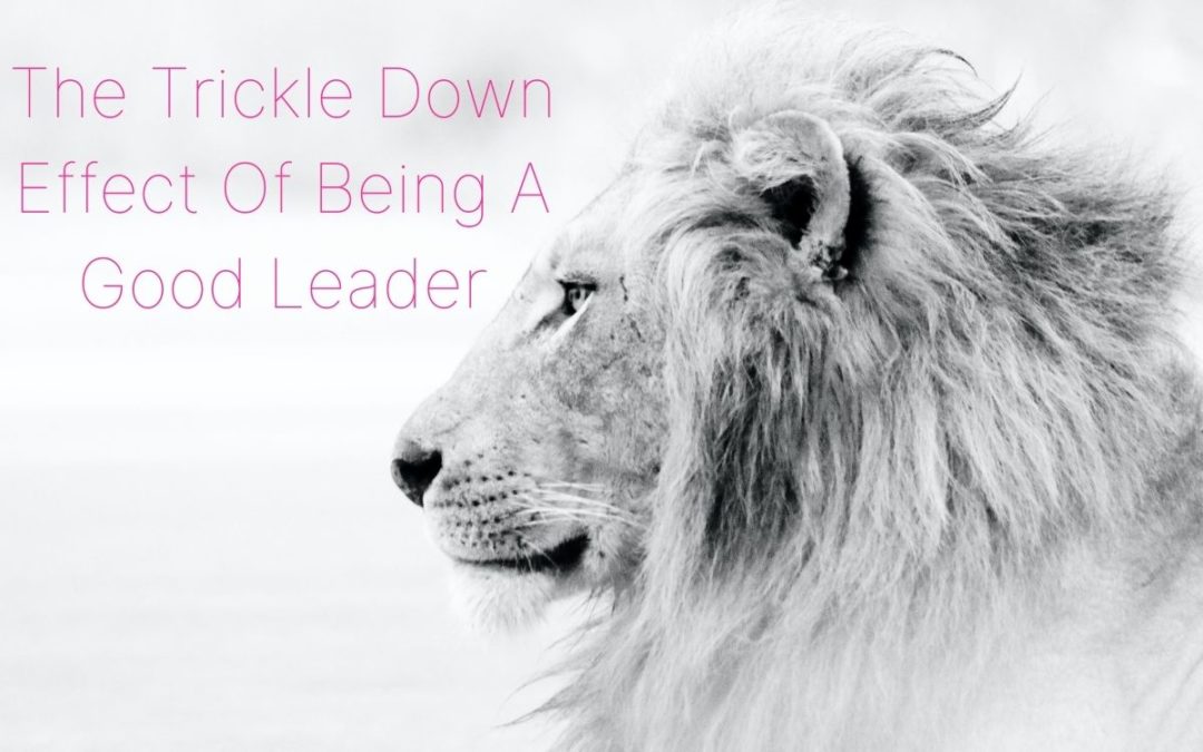 The Trickle Down Effect of Being a Good Leader