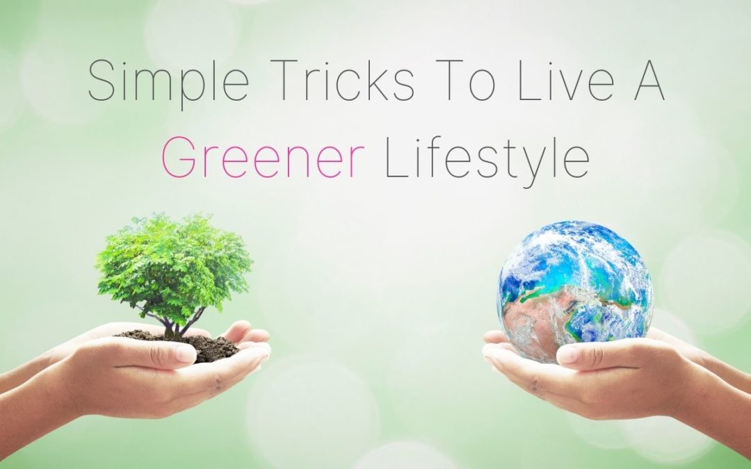 Simple Tricks to Live a Greener Lifestyle